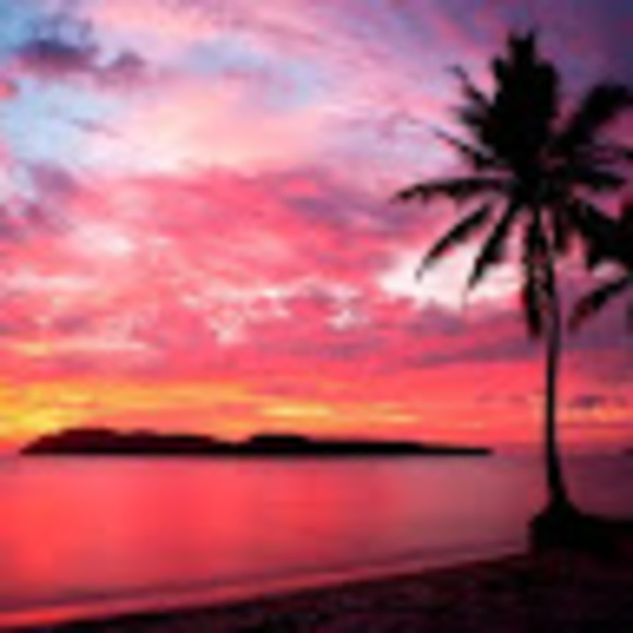 Meet your Posher, Isabella - Picture 1 of 1